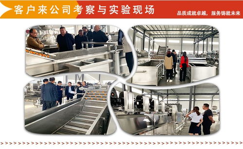 今天带大家看一下速冻薯条是怎样加工得 在线视频 食品机械设备网