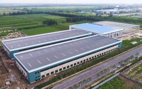 河北文安 做实高质量发展大文章 项目建设跑出 加速度