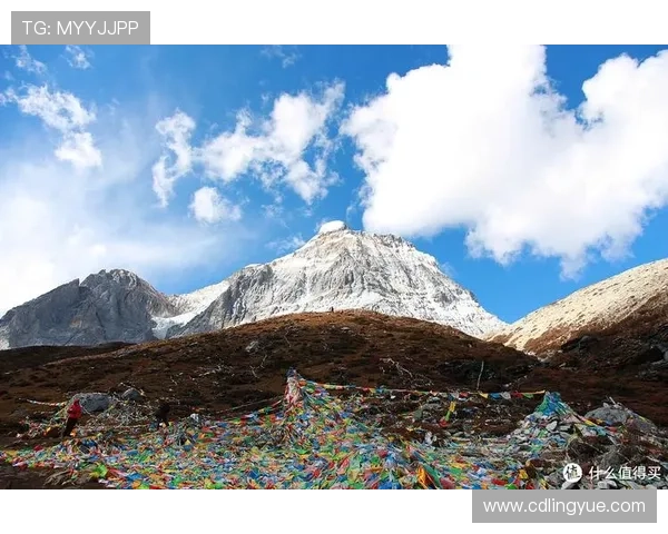 下一站:不止是抵达,更是心之所向的精彩 下一站:不止是抵达,更是心之所向的精彩